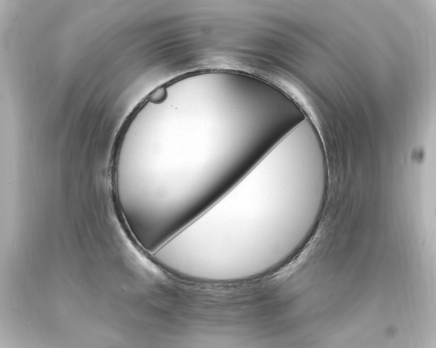X0000094361141200711021330