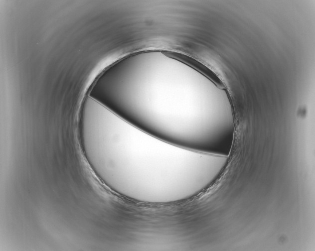 X0000094361146200711021330