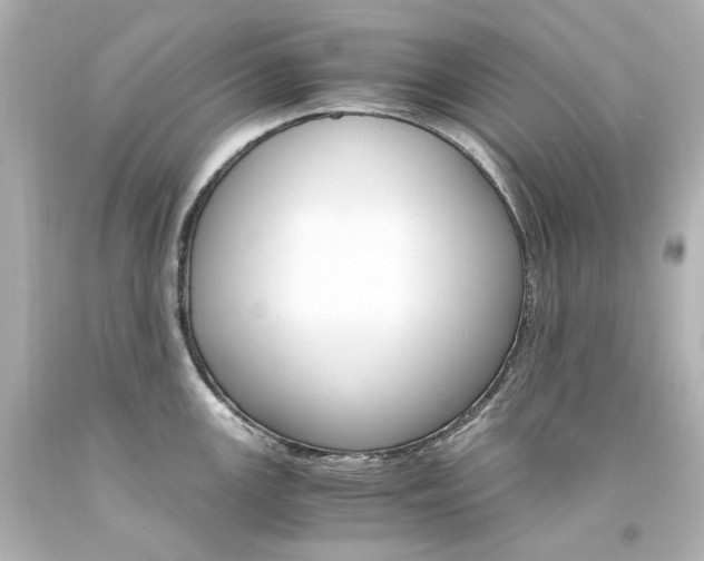 X0000094361147200711021330
