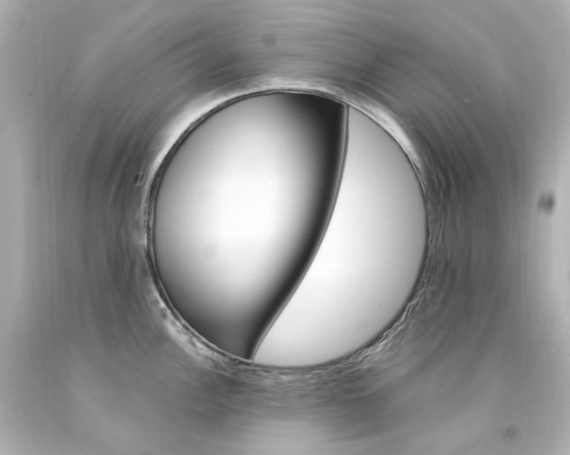 X0000094361148200711021330