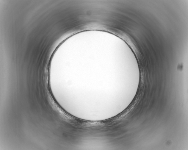 X0000094361150200711021330