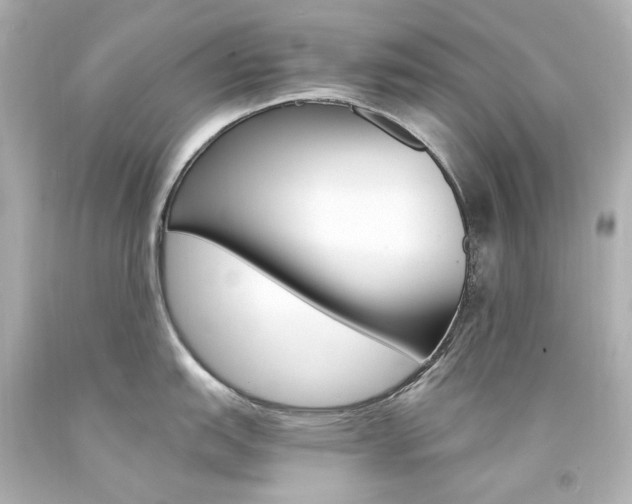 X0000094361151200711021330