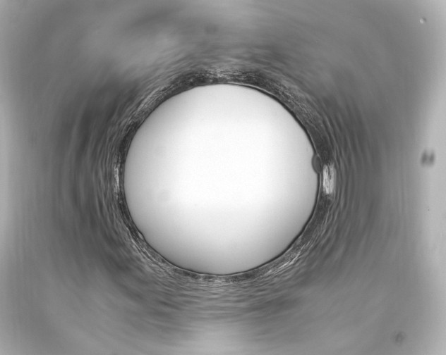 X0000094361155200711021329