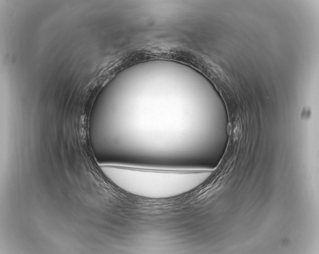 X0000094361156200711021329