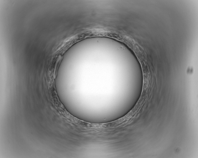 X0000094361157200711021329