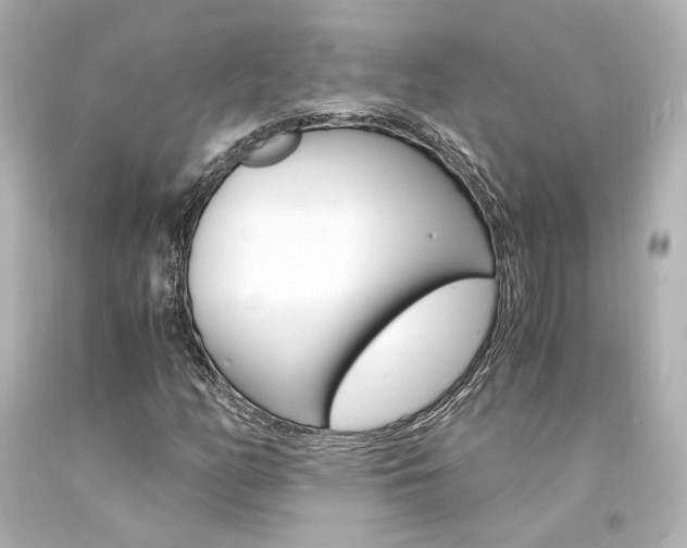 X0000094361158200711021329