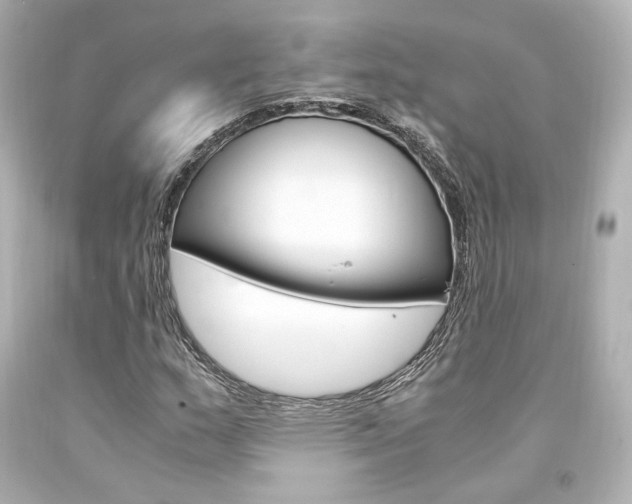 X0000094361159200711021329
