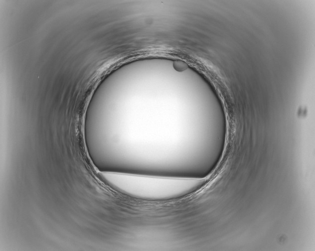 X0000094361161200711021329
