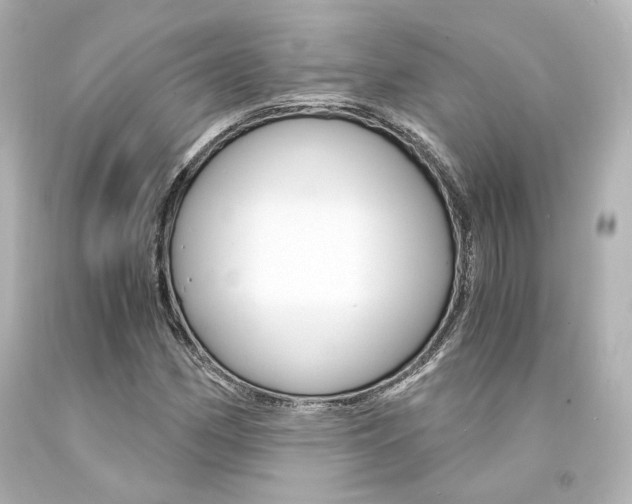 X0000094361162200711021329