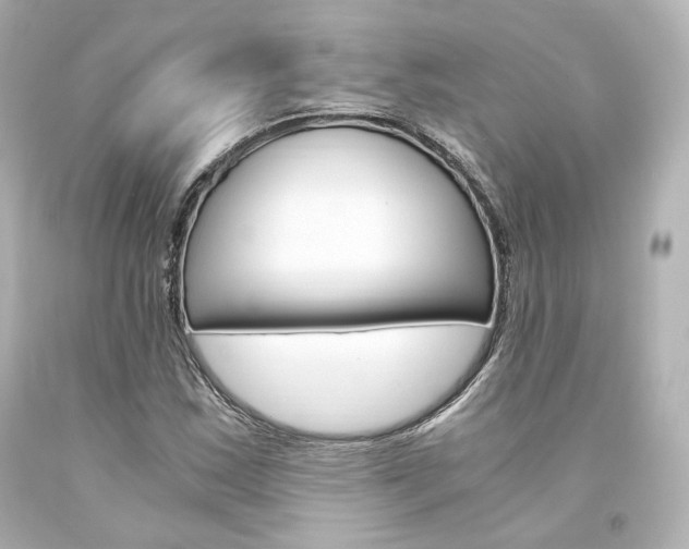 X0000094361163200711021329