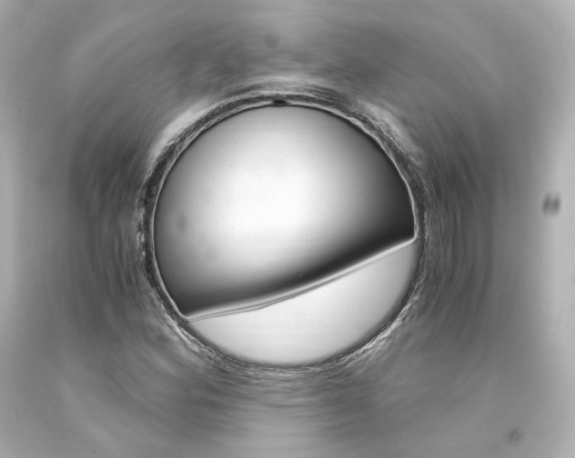X0000094361164200711021329