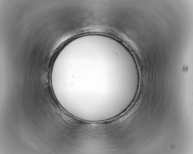 X0000094361166200711021329