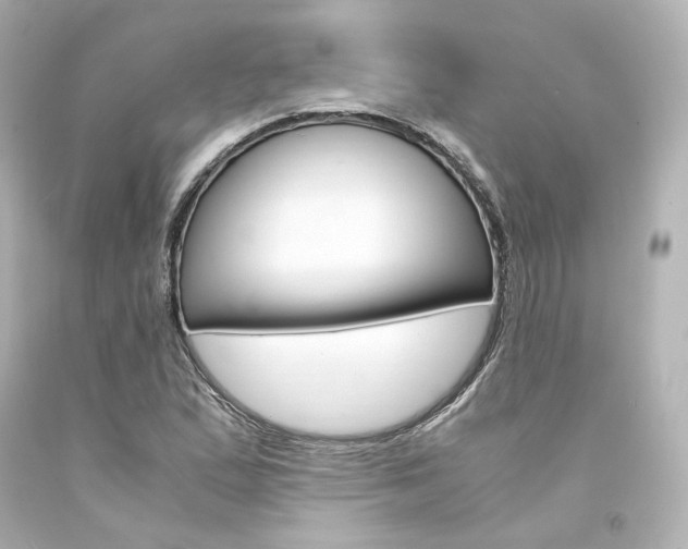 X0000094361167200711021329
