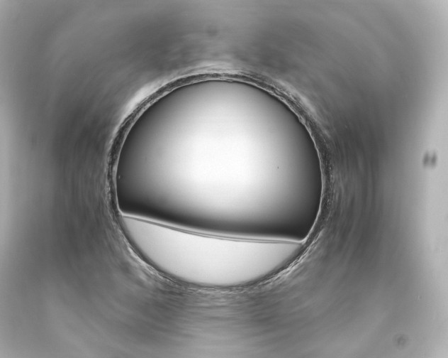 X0000094361168200711021329