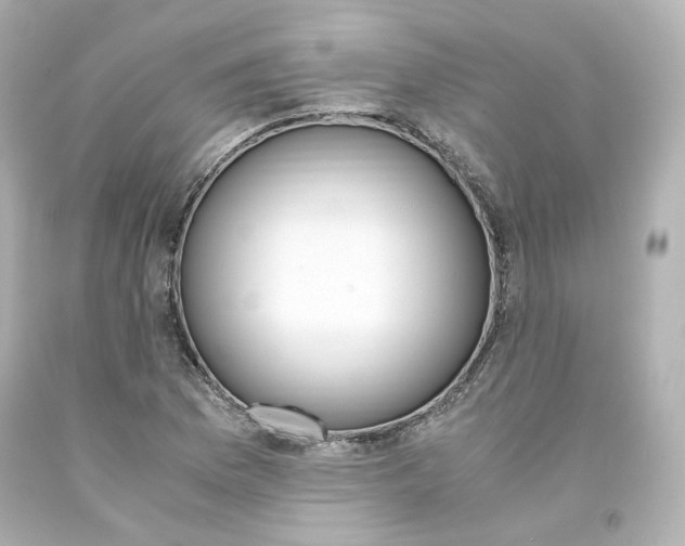 X0000094361169200711021329