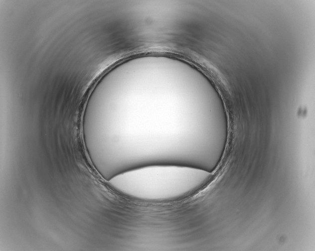 X0000094361170200711021329