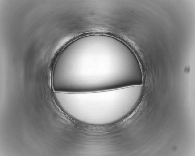 X0000094361171200711021329