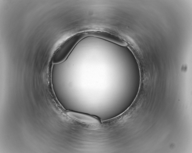 X0000094361172200711021329