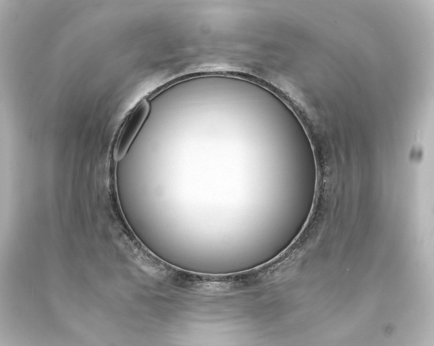 X0000094361173200711021329