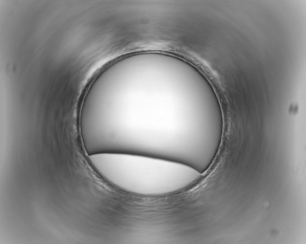 X0000094361174200711021329
