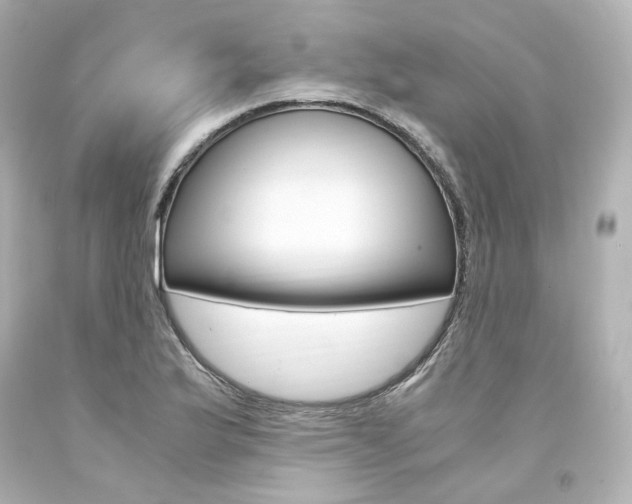 X0000094361175200711021329