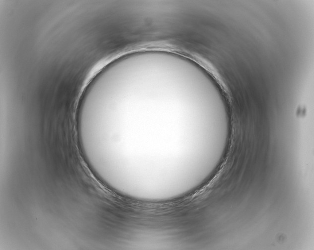 X0000094361176200711021329