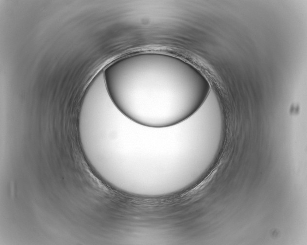 X0000094361177200711021329