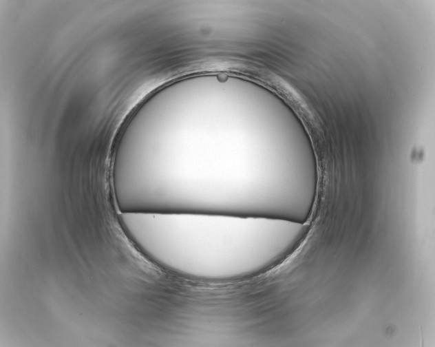 X0000094361178200711021329