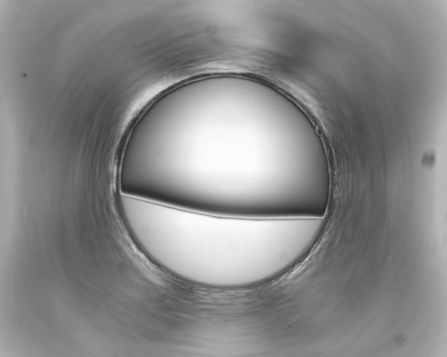 X0000094361179200711021329