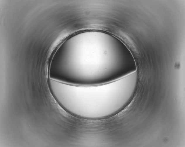 X0000094361180200711021329