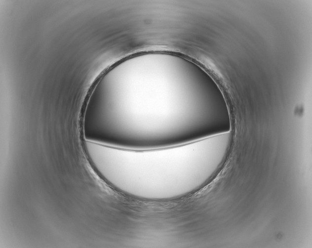 X0000094361181200711021329