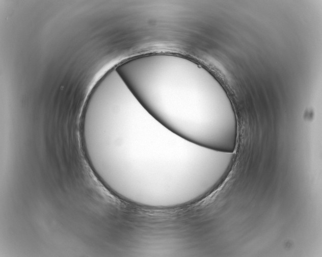 X0000094361182200711021329