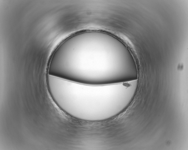 X0000094361183200711021329