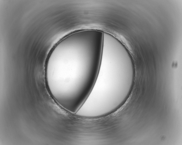X0000094361184200711021329