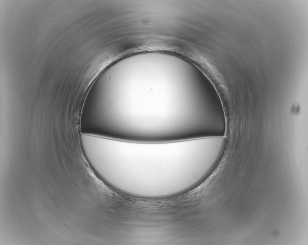 X0000094361185200711021329