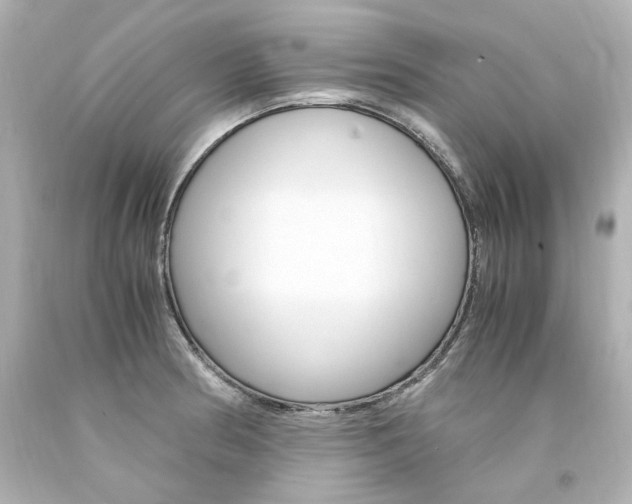 X0000094361186200711021329
