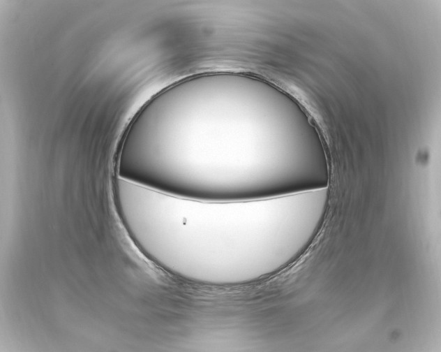 X0000094361187200711021329