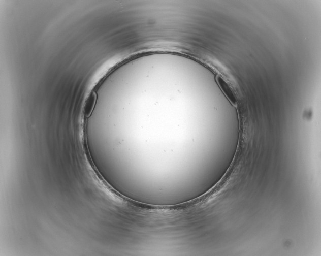 X0000094361188200711021329