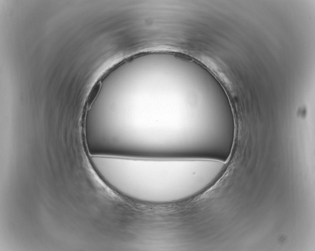 X0000094361189200711021329