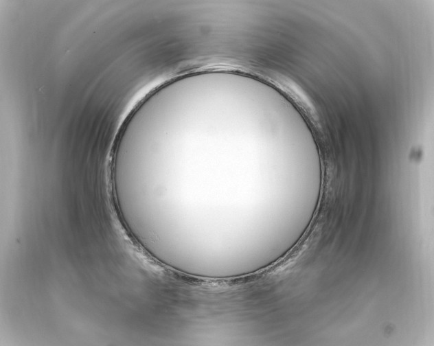 X0000094361190200711021329