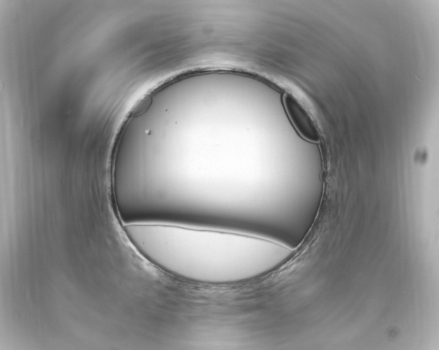 X0000094361191200711021329