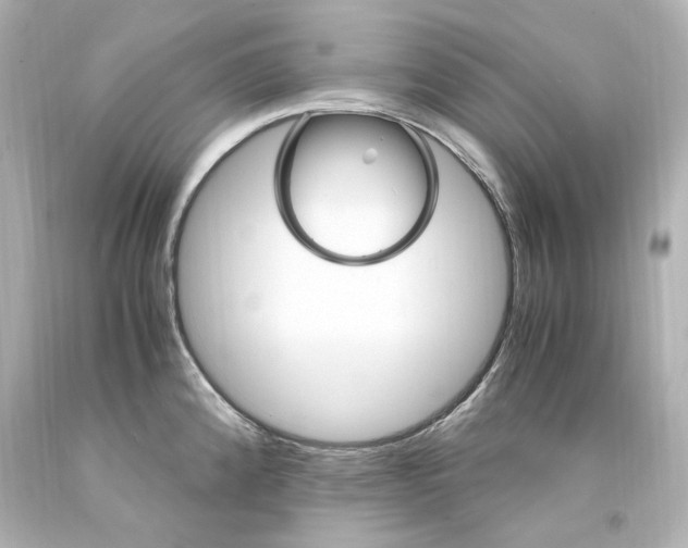X0000094361192200711021329