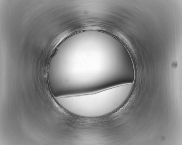 X0000094361193200711021329