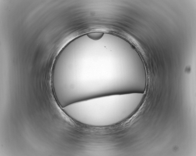 X0000094361194200711021329