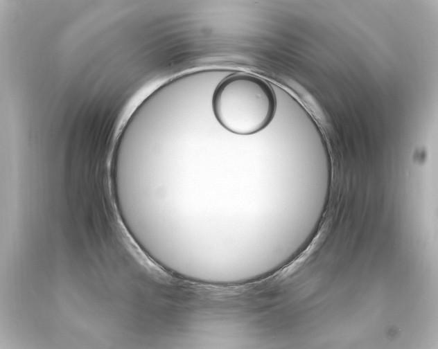 X0000094361196200711021329