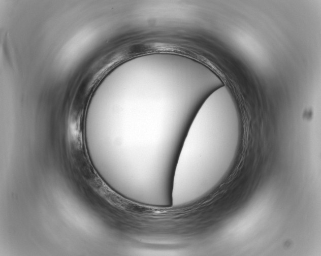 X0000094361198200711021329