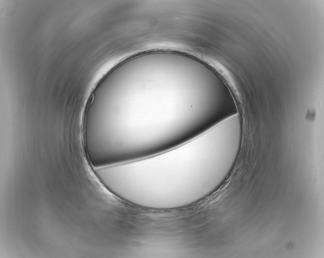 X0000094361199200711021329