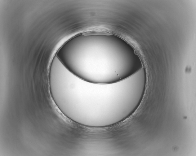 X0000094361200200711021329