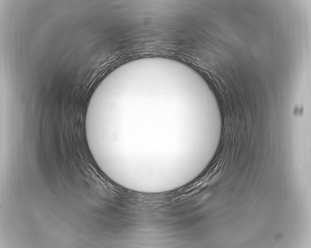 X0000094361202200711021328