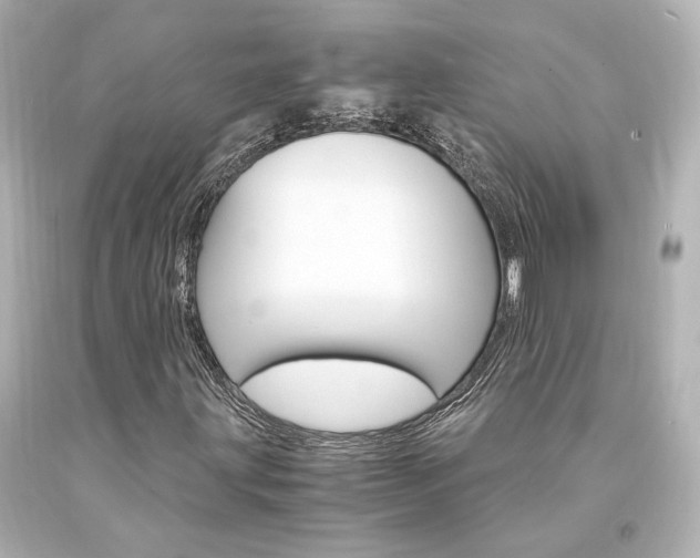 X0000094361203200711021328